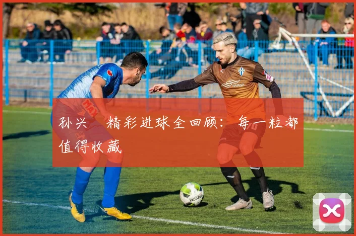 孙兴慜精彩进球全回顾:每一粒都值得收藏